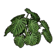 Faux Tropical Bush building icon