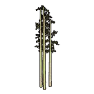 Faux Bamboo A building icon