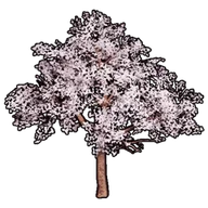 Faux Cherry Blossoms B building icon