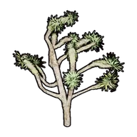 Faux Desert Greenery B building icon