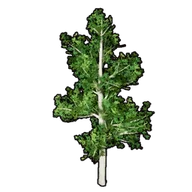 Faux Greenery B building icon