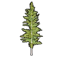 Faux Greenery C building icon