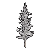Faux Snowy Greenery C building icon