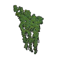 Big Wall Ivy building icon