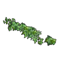 Horizontal Wall Ivy building icon