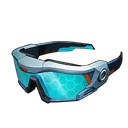 Pal Tamer's Glasses item icon