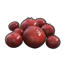 Red Berries item icon