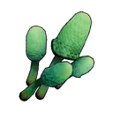 Cavern Mushroom item icon