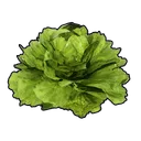 Lettuce item icon