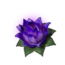 Carrying Lotus (S) item icon